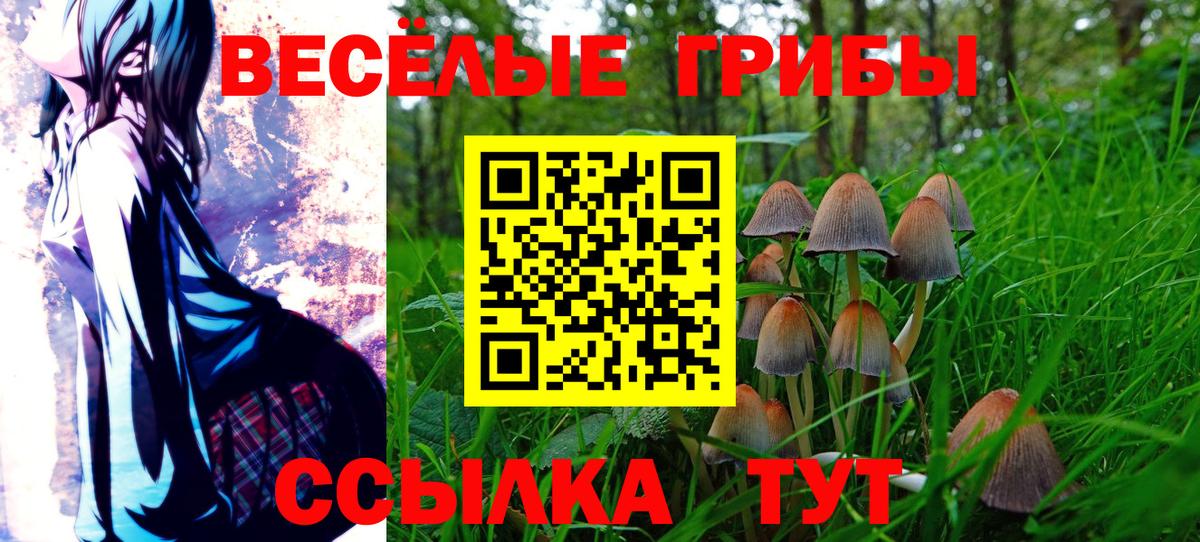 Меф мяу мяу Кандалакша