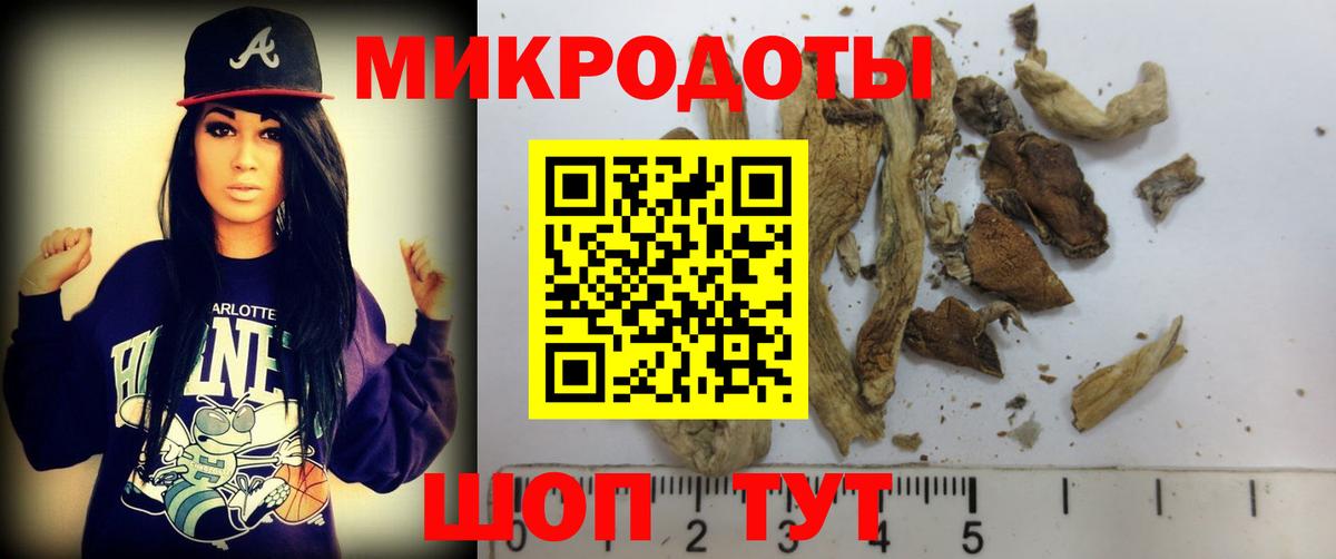 где можно купить наркотик  Псилоцибиновые грибы мухоморы  Кандалакша  Вход с VPN  Псилоцибиновые грибы MAGIC MUSHROOMS 